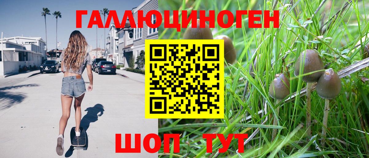 Старая Купавна  купить наркотики сайты  Вход с VPN  Галлюциногенные грибы прущие грибы 