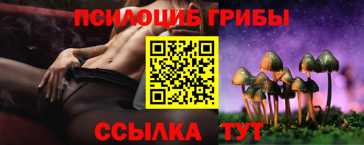 Псилоцибиновые грибы мухоморы Старая Купавна